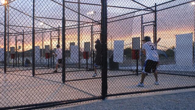Hitting Net vs Batting Cage: Which One Fits Your Space?